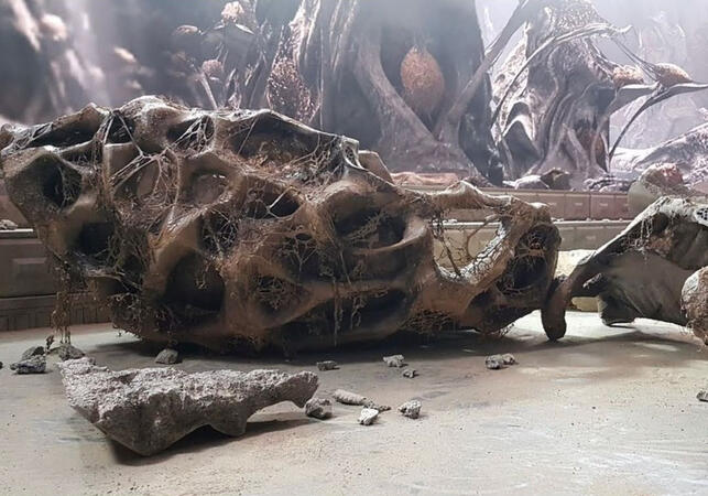From one of the sets of Star Trek: Discovery Season 4. Depicting a broken alien eggshell from the birth of some unknown creature.