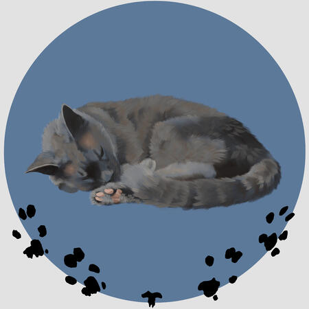 Digital painting of a slight-built gray cat sleeping in a curled position. This is a memorial piece for the late Paris. May she rest well.