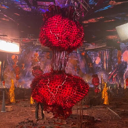 Space fungi A red, furry, amorphous space mushroom from Star Trek Season 4